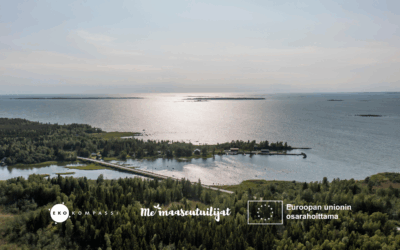 Miten yhdistyksen ympäristöjärjestelmä rakennetaan?