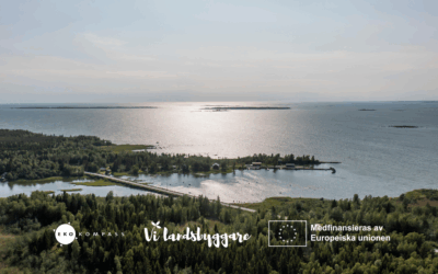 Hur är föreningens miljösystem uppbyggt?